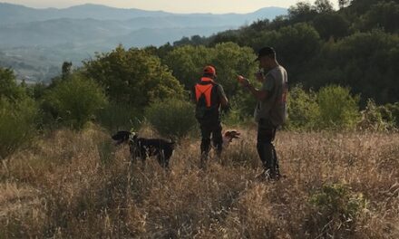 CANI da CACCIA LA GRANDE UTILITÀ DEL GPS