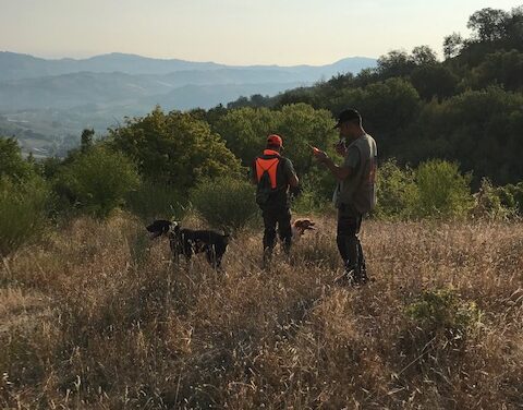 CANI da CACCIA LA GRANDE UTILITÀ DEL GPS