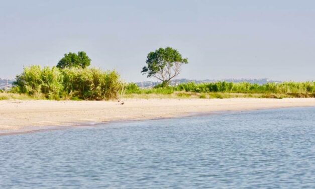 caccia al contadino – La riserva borsacchio a roseto