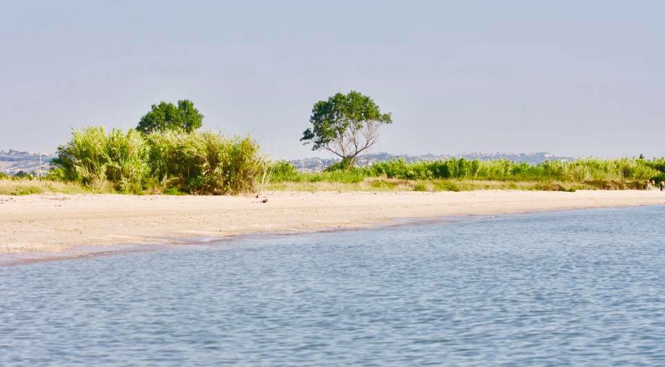 caccia al contadino – La riserva borsacchio a roseto